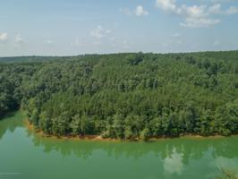 LOT 21 WATERBOUND AT SMITH LAKE