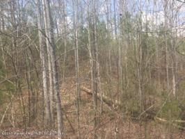 LOT 23 LAURELWOOD