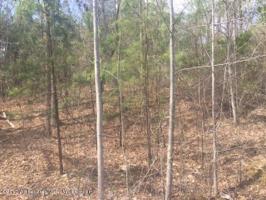 LOT 32 LAURELWOOD