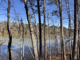 LOT 20 ROCK CREEK PENINSULA
