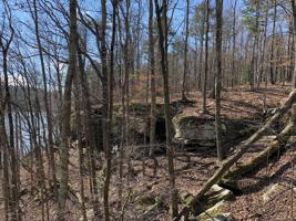 LOT 1 COUNTY ROAD 904