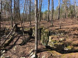 LOT 2 COUNTY RD 904