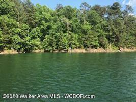 LOT # 4 RON THAMES DR
