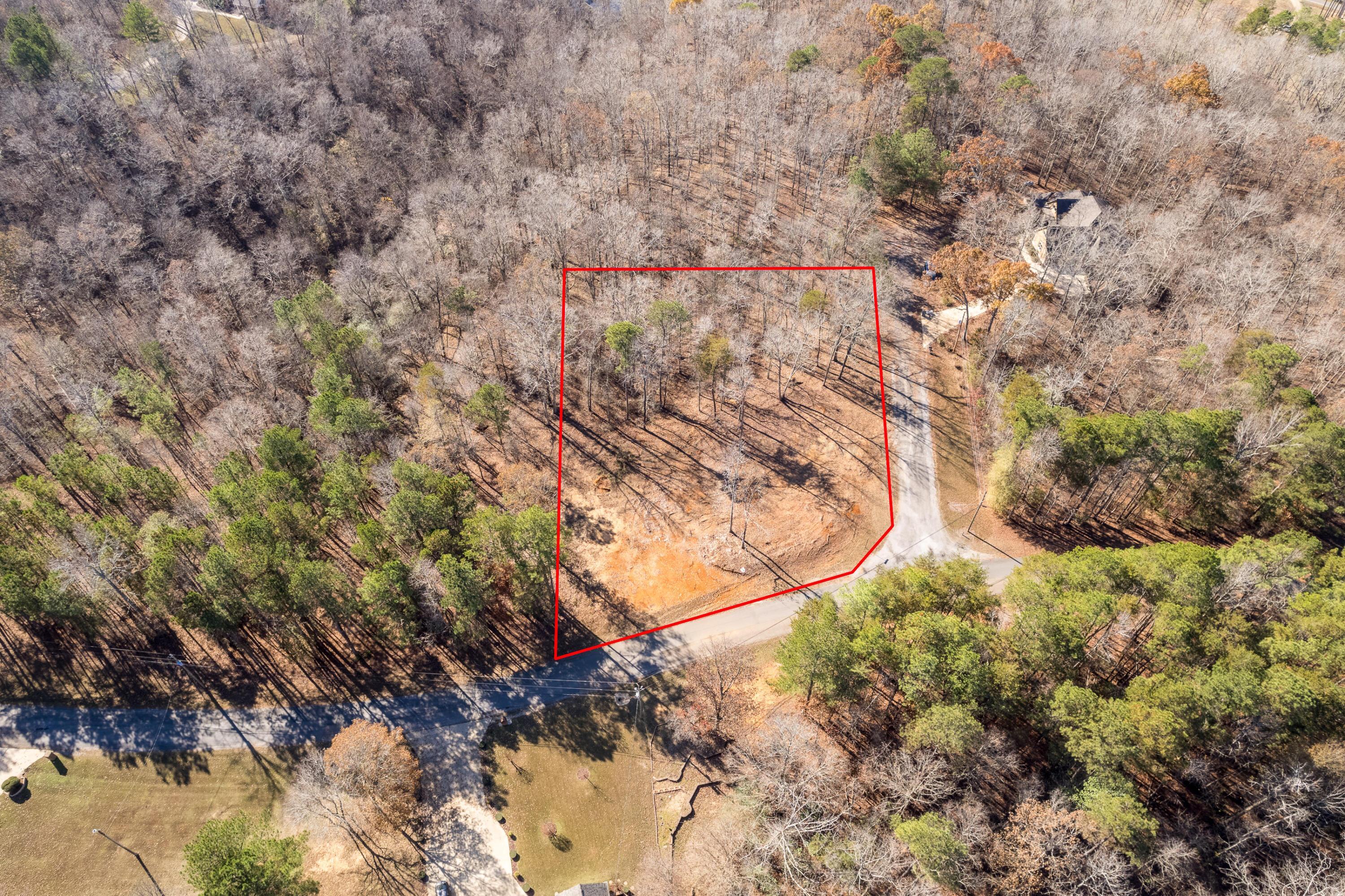 Image 1: Aerial Lot Lines