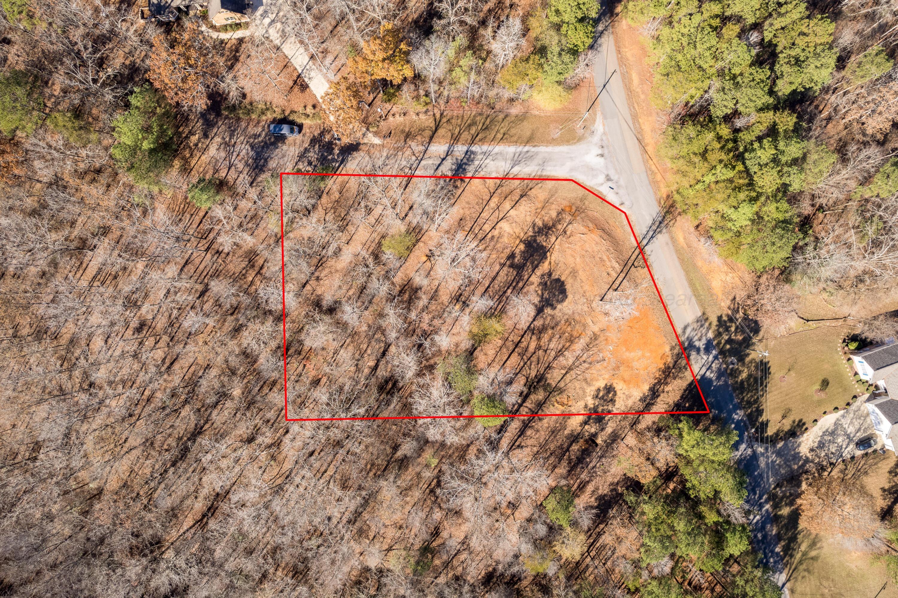 Image 3: Aerial Lot Lines