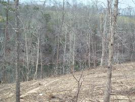 C.R.3902 / BRIGHT Dr