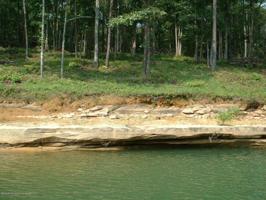 LOT 85 STONEY POINTE LANDING