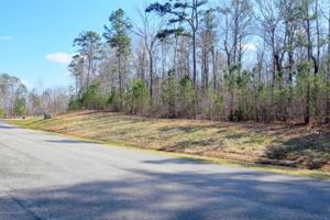 LOT 230 STONEY POINTE LANDING