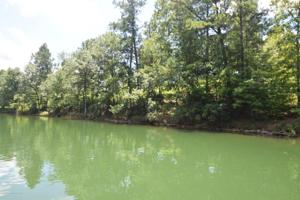 LOT 14 BEAR PEN COVE