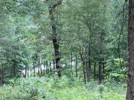 LOT 5 LAURELWOOD