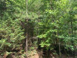 LOT 26 LAURELWOOD