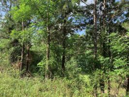 LOT 69 EMERALD VALLEY ESTATES