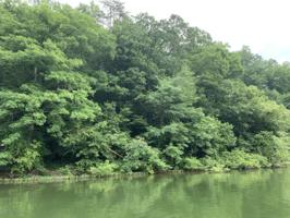 LOT 16 SOUTHERN SHORES