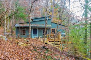 556 COUNTY ROAD 4036
