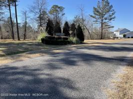 LOT# 55 BRUSHY CREEK MAIN