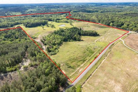 4203 COUNTY ROAD 25