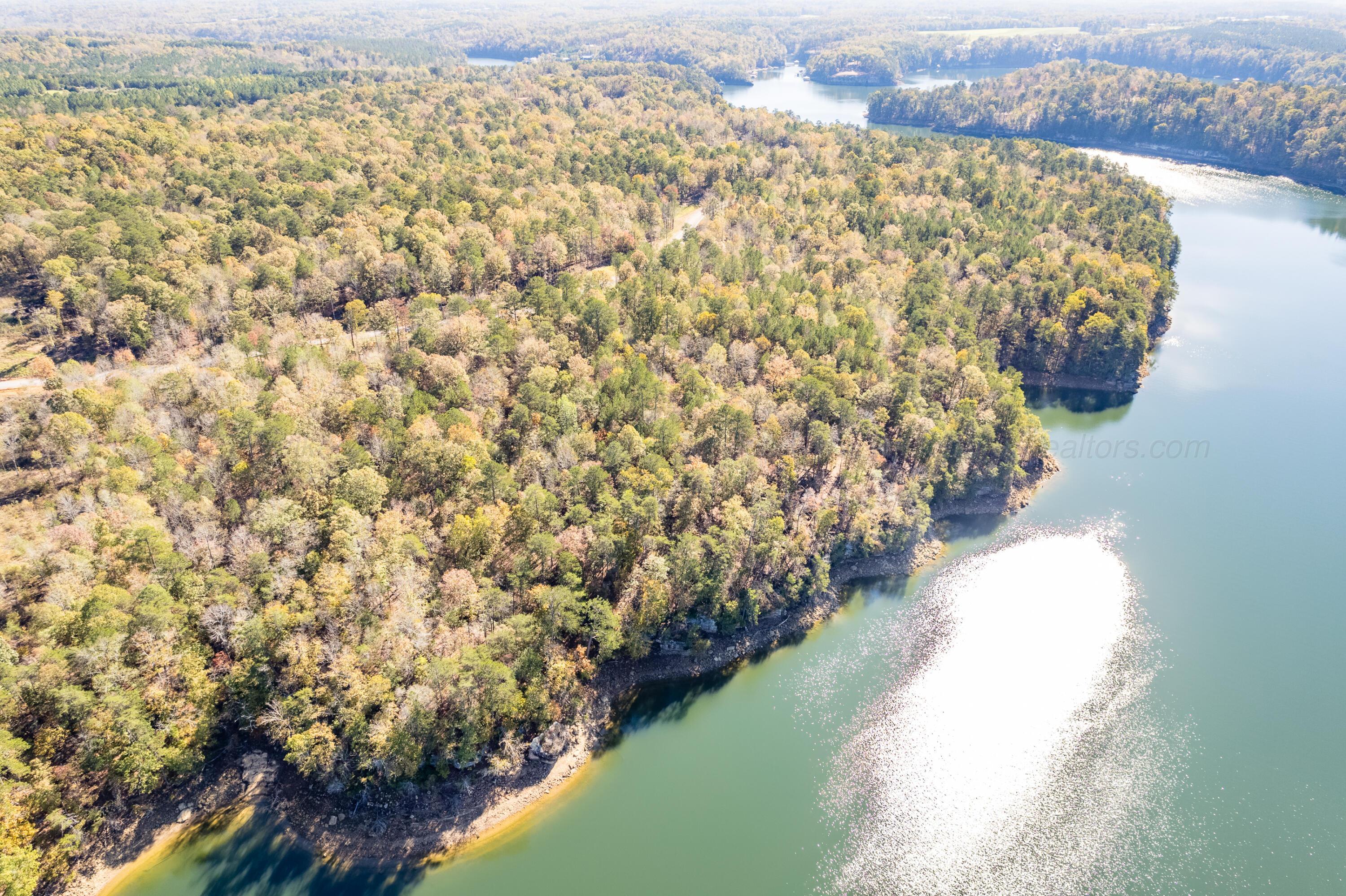 Image 3: Aerial