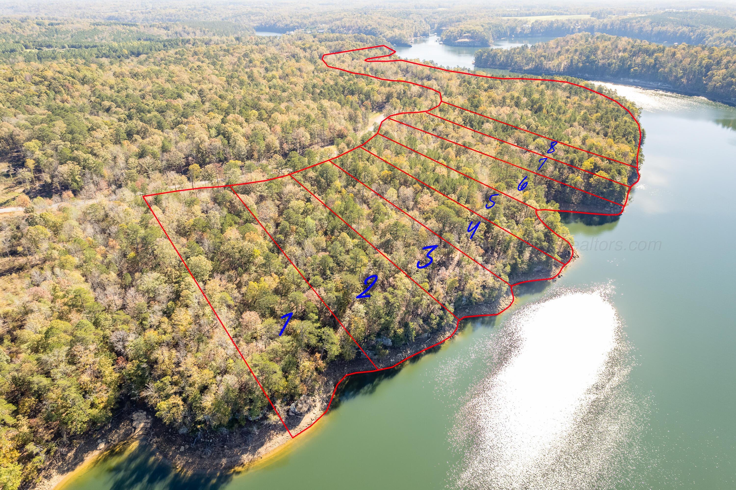 Image 2: Aerial Lot Lines