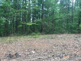 HUETTE ESTES Rd