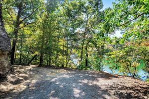 321 COUNTY ROAD 354