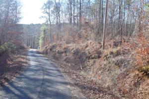 COUNTY ROAD 210