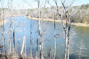 LOT 180 COUNTY ROAD 309