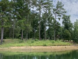 LOT 11 AT THE PRESERVE