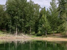 LOT 10 THE PRESERVE