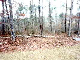 LOT 37 BRUSHY LANE