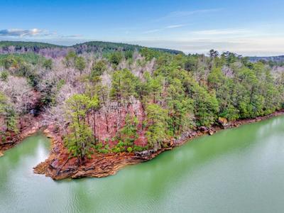 LOT 60 & 61 SIPSEY OVERLOOK Dr