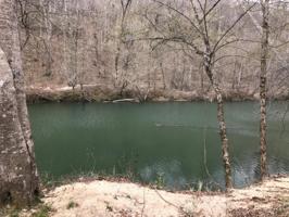 LOT #16 TURKEY BEND