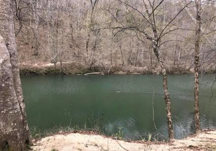 LOT 42 TURKEY BEND