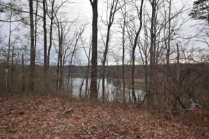 LOT 4 SECLUDED COVE