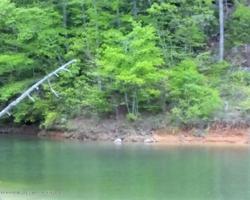 325 CO RD 920