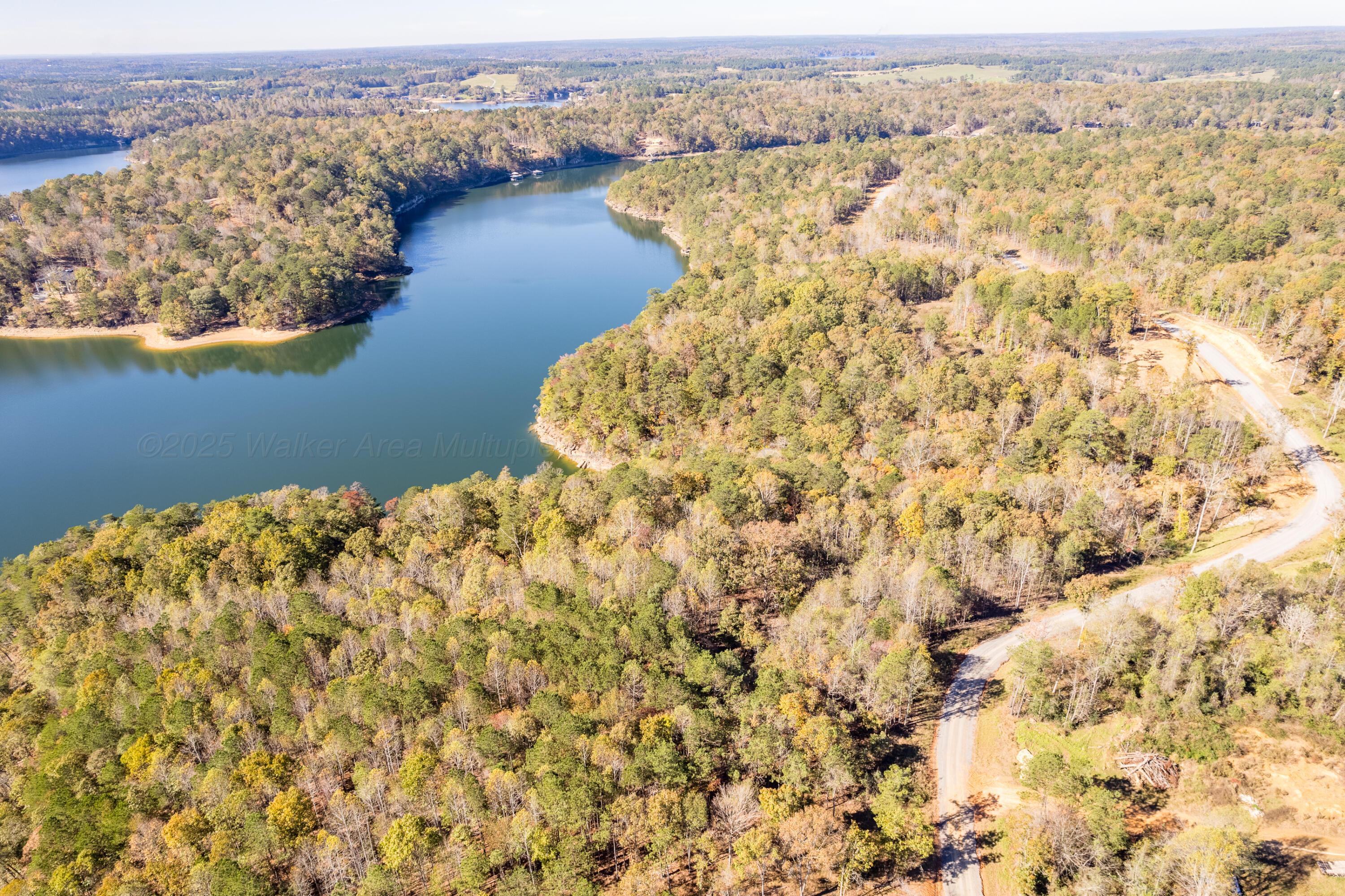 Image 4: Aerial