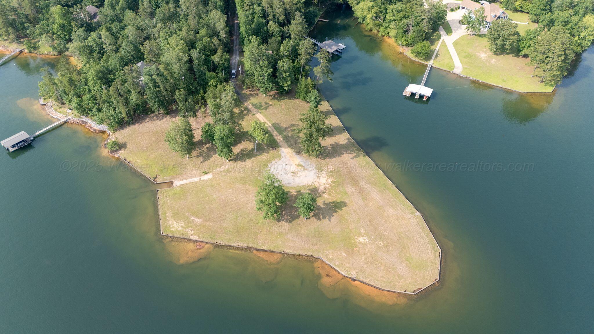 Image 4: Aerial