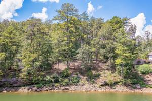 LOT 5 OLIVIA SHORES