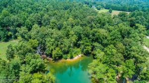 LOT 123 LAKESHORE WEST PHASE IX