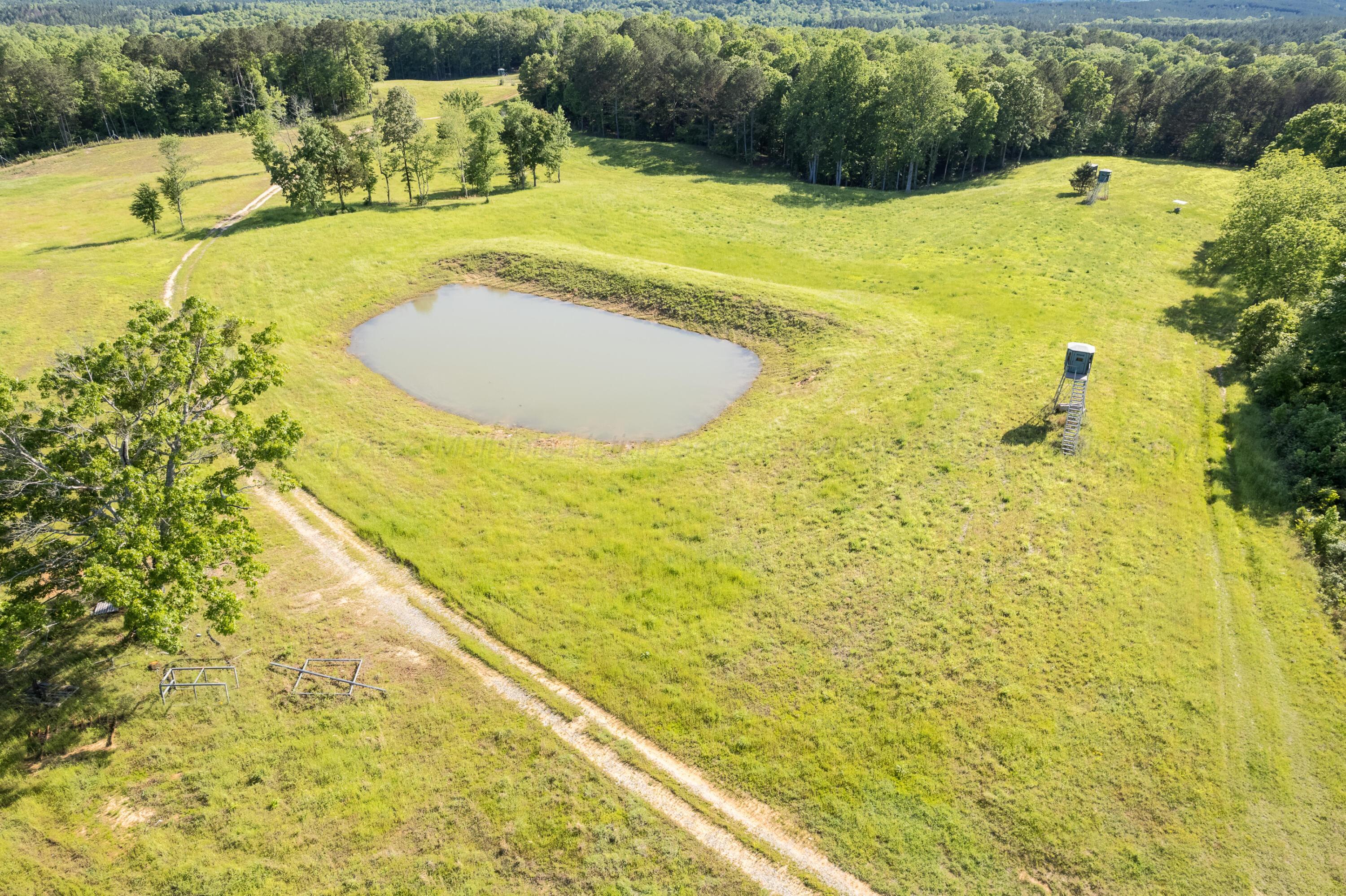 Image 2: Pond