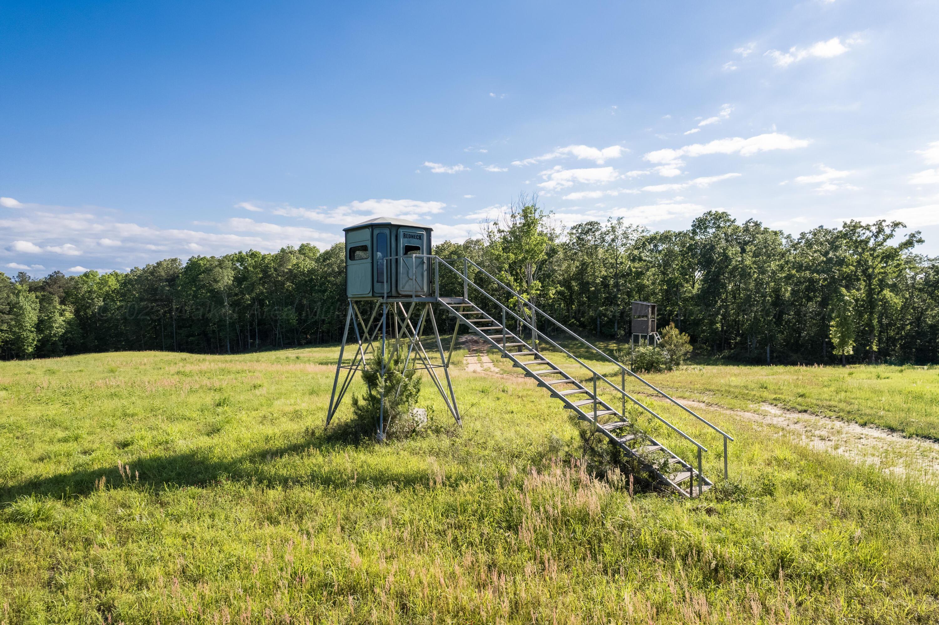 Image 4: Hunting Stand