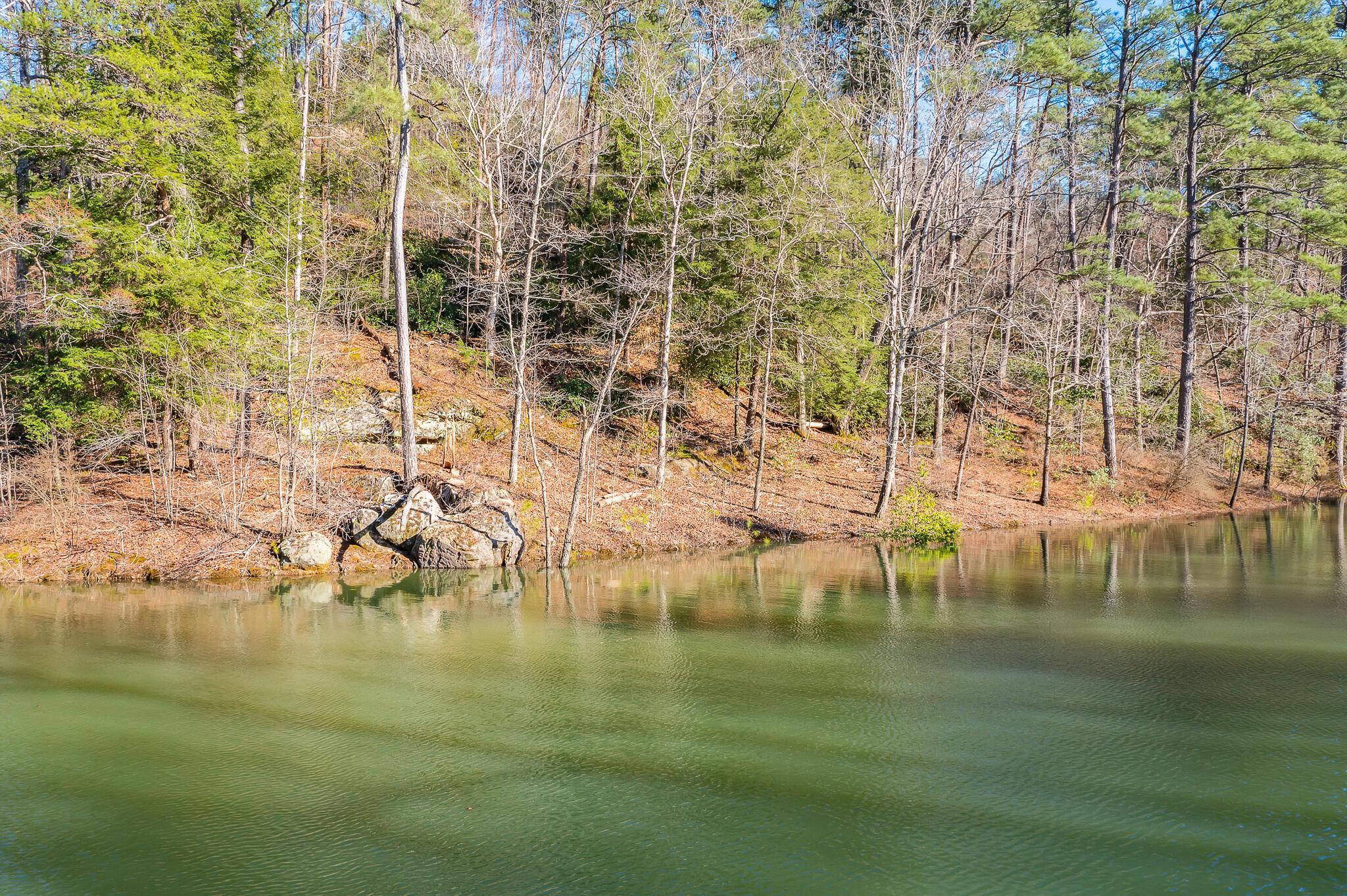 Image 3: Lakeside View