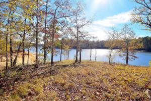 LOT 7 PENINSULA PHASE IV