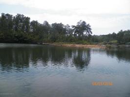 LOT 16 BEAR BRANCH COVE