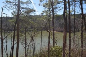 LOT 24 THE RETREAT AT HIDDEN FALLS