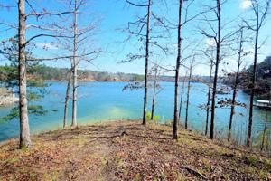 LOT 6 LAURELWOOD