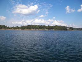 LOT 11 Co Rd 235