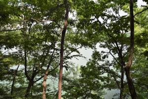 LOT 5 LONGVIEW LANDING