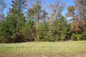 LOT 41 SIPSEY OVERLOOK