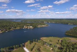 LOTS 55-58 SIPSEY SHORES