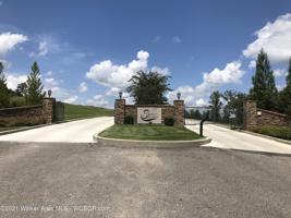 LOT 52 SIPSEY SHORES